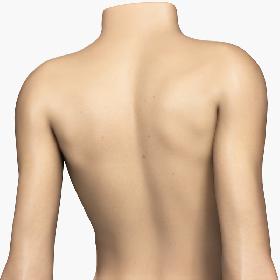 Female Body